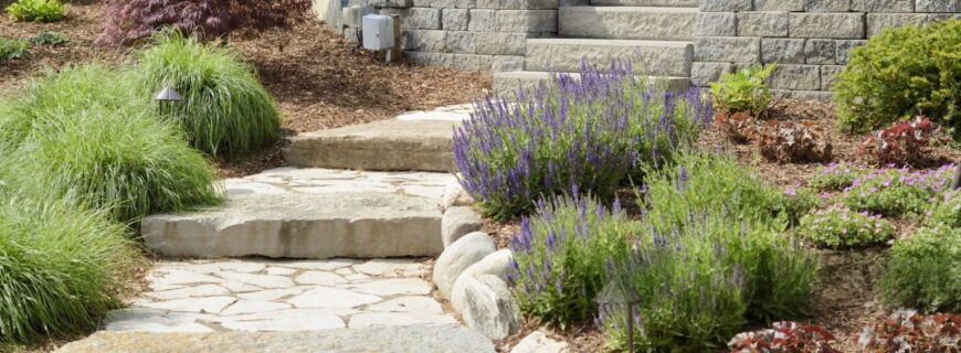 DeWatermark.ai_1757097447156